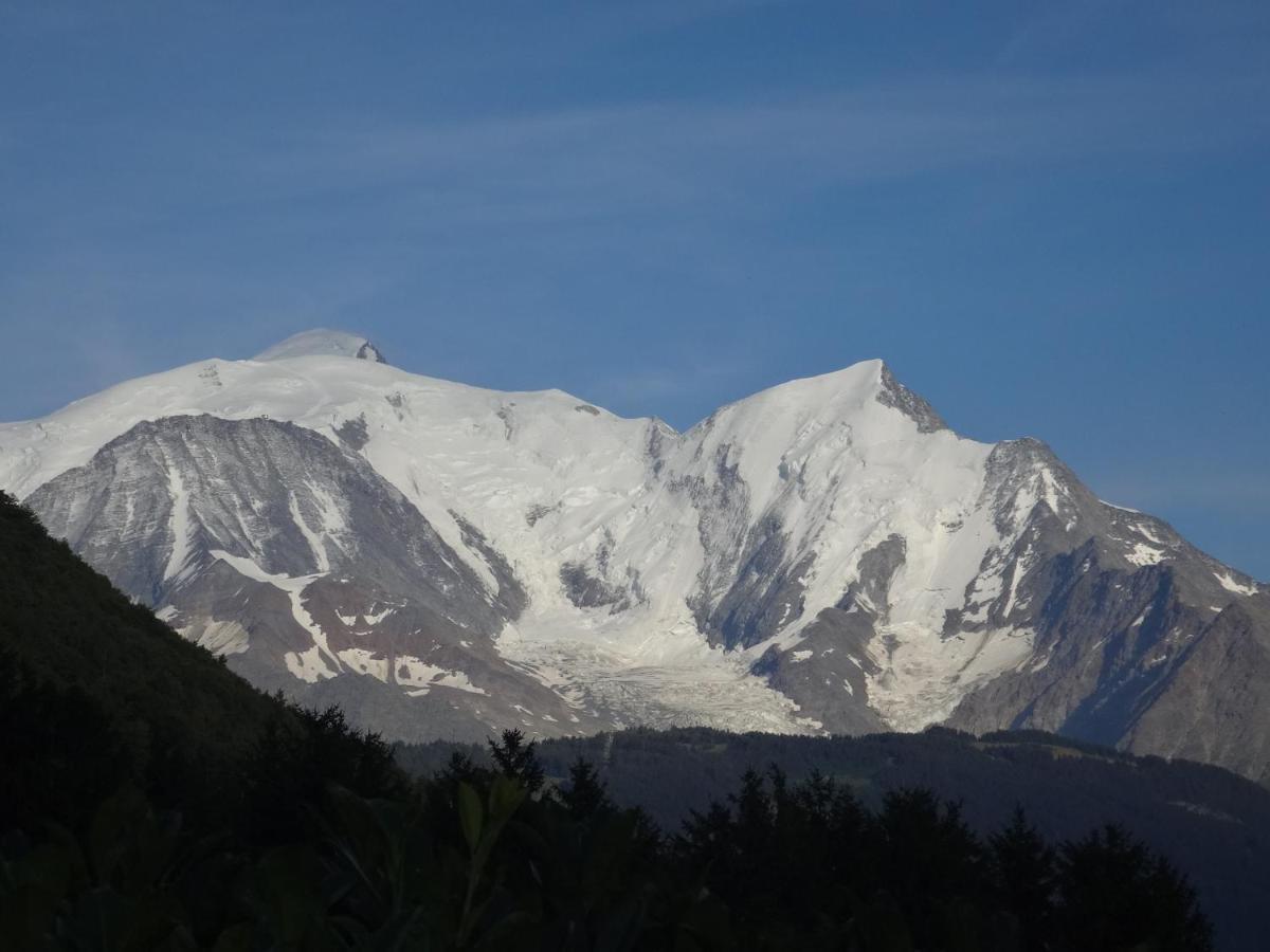 Mont Blanc Holidays Dans Residence Avec Gardien Sallanches Eksteriør billede